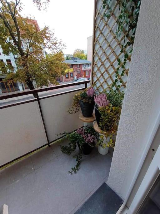 Apartament Podgorna 19 Apartment Torun Exterior photo